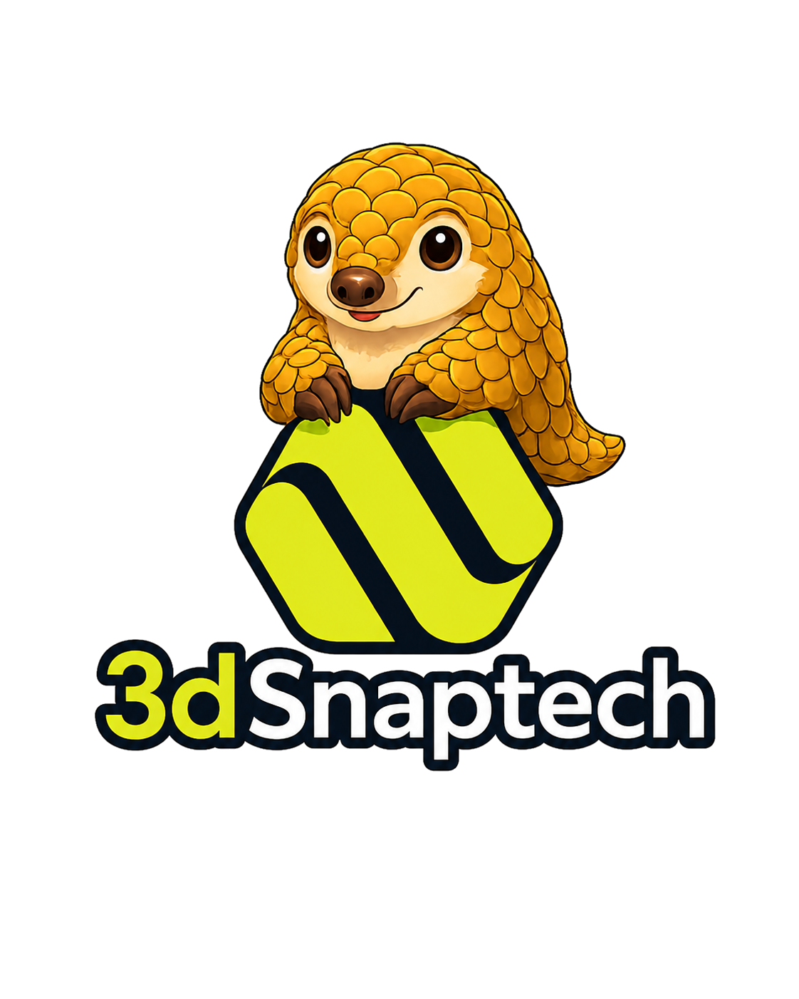 3DSnapTech